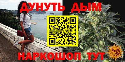 стаф Гай