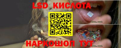 шишки Гатчина