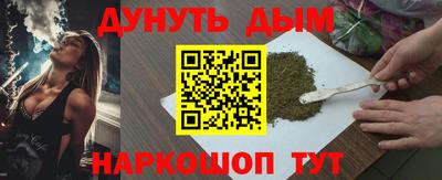 стаф Гай