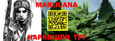 стаф Гай