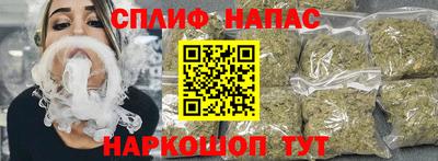 стаф Гай