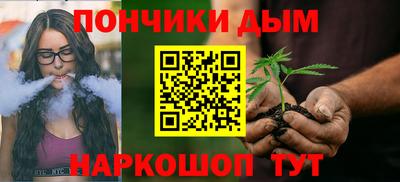шишки Гатчина