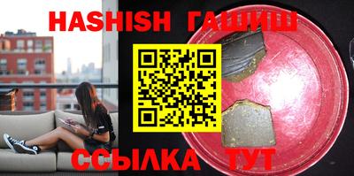 стаф Гай
