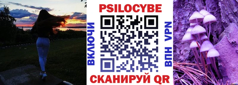 kraken ТОР  Томск  Галлюциногенные грибы Magic Shrooms  закладки 
