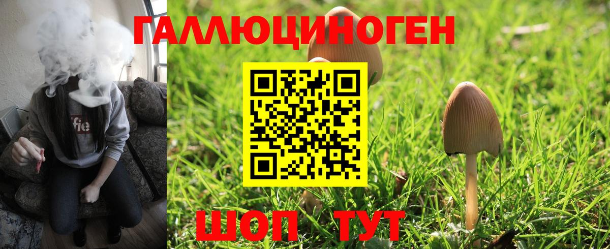 Томск  Псилоцибиновые грибы мухоморы  Вход с VPN 