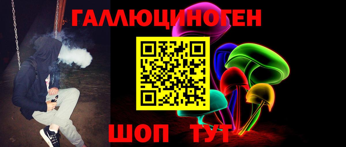 Псилоцибиновые грибы Psilocybe Томск